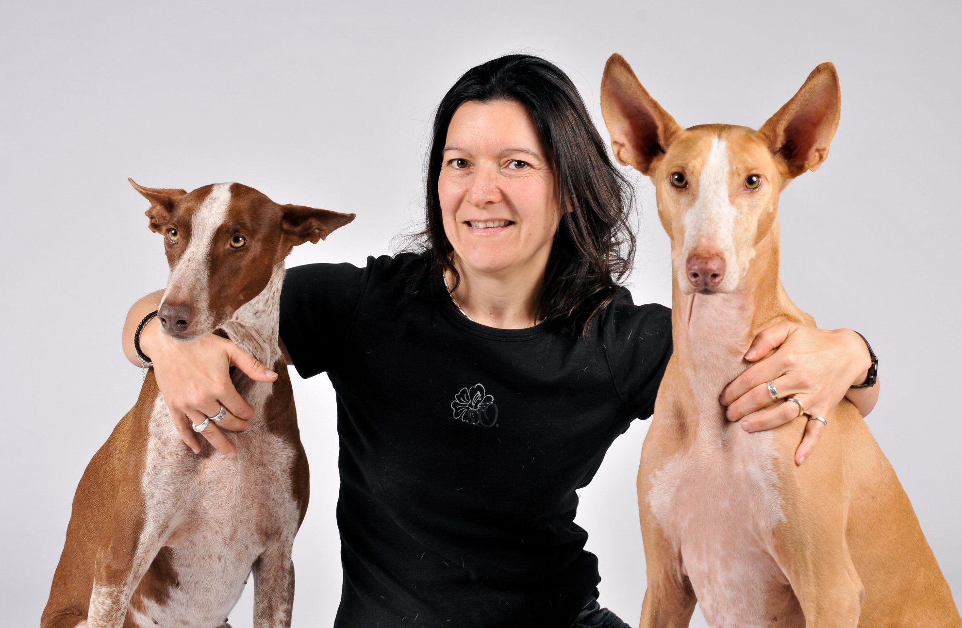 Marions Mobile  Dogschool Wiesbaden